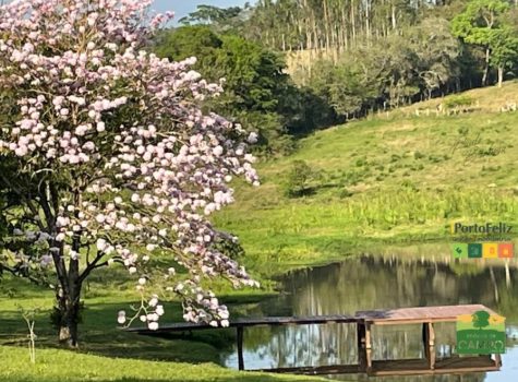 iportofeliz-imobiliaria-porto-feliz-sitio-em-ipero087