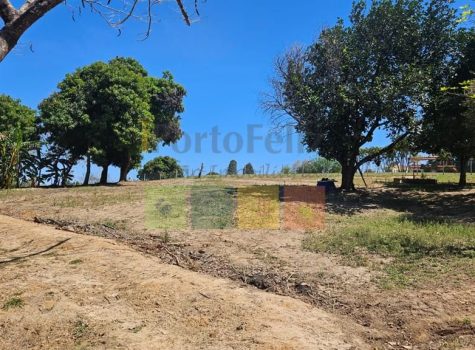 whatsapp-image-2025-11-04-at-125617-4-1