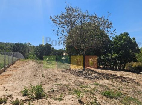 whatsapp-image-2025-11-04-at-125618-3-1