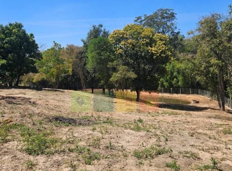 whatsapp-image-2025-11-04-at-125619-1